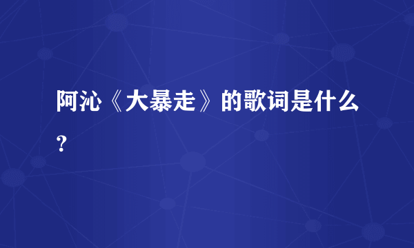 阿沁《大暴走》的歌词是什么？