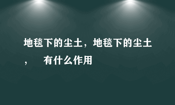 地毯下的尘土，地毯下的尘土，冇有什么作用