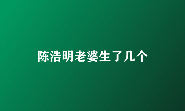 陈浩明老婆生了几个