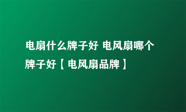 电扇什么牌子好 电风扇哪个牌子好【电风扇品牌】