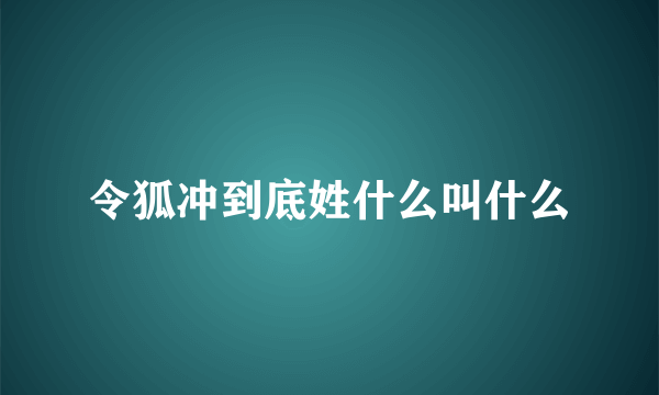 令狐冲到底姓什么叫什么