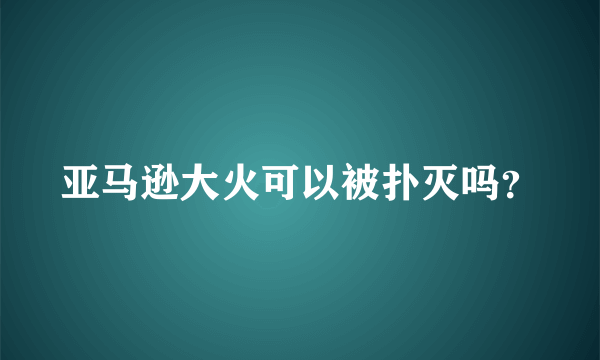 亚马逊大火可以被扑灭吗？