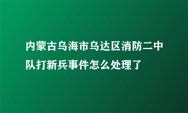 内蒙古乌海市乌达区消防二中队打新兵事件怎么处理了