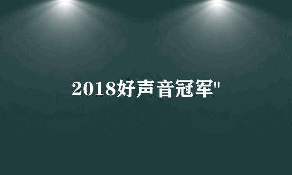 2018好声音冠军