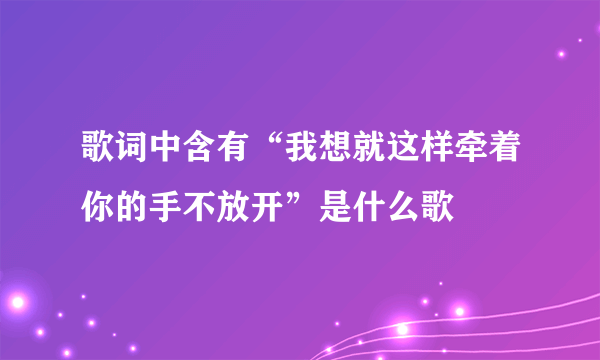 歌词中含有“我想就这样牵着你的手不放开”是什么歌