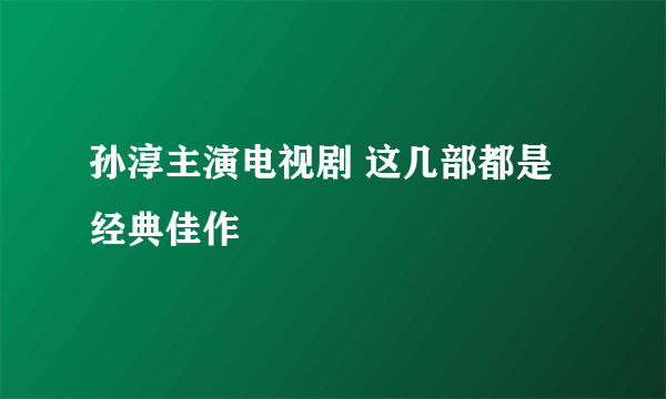 孙淳主演电视剧 这几部都是经典佳作