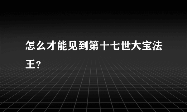 怎么才能见到第十七世大宝法王？