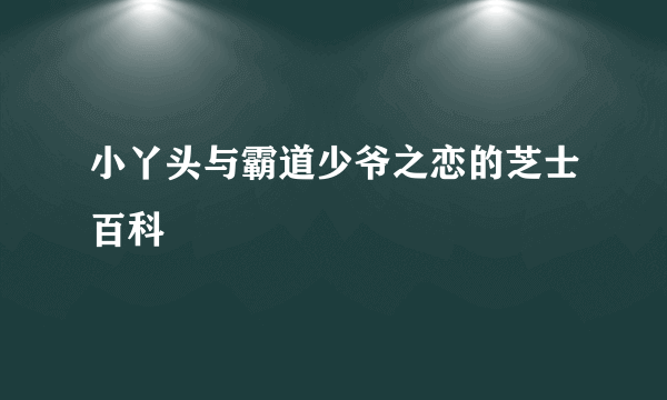 小丫头与霸道少爷之恋的芝士百科