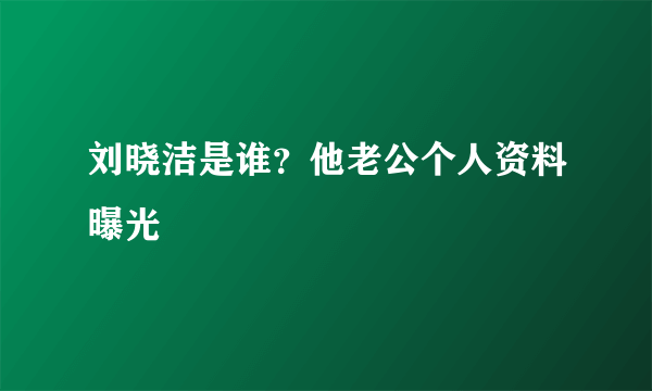 刘晓洁是谁？他老公个人资料曝光