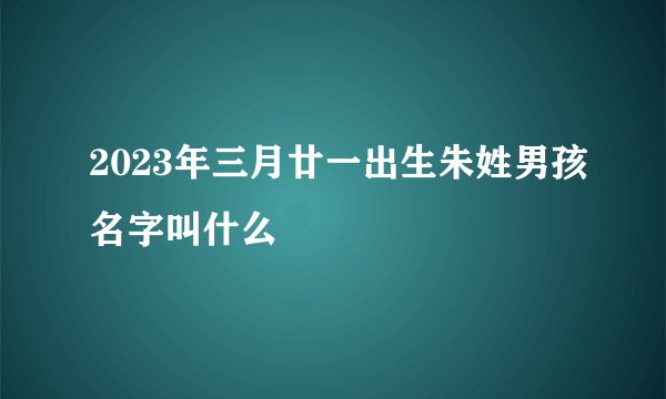 2023年三月廿一出生朱姓男孩名字叫什么