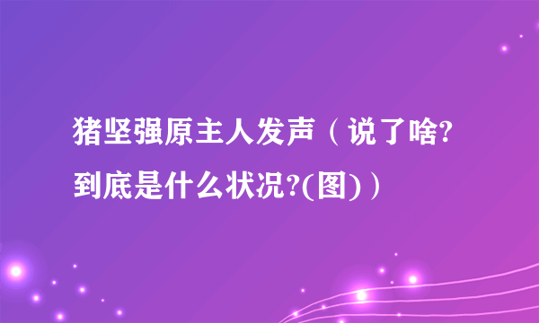 猪坚强原主人发声（说了啥?到底是什么状况?(图)）