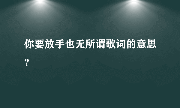 你要放手也无所谓歌词的意思？