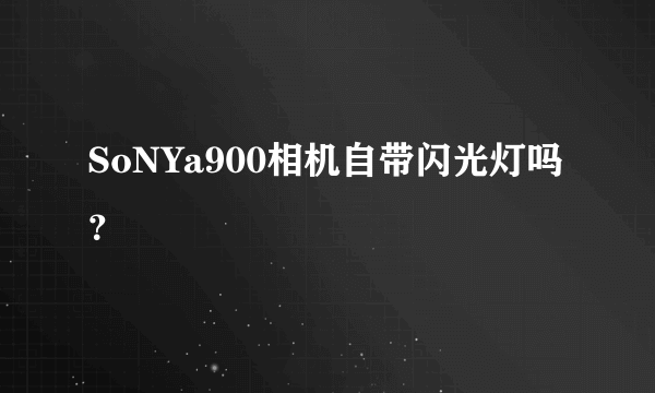 SoNYa900相机自带闪光灯吗？