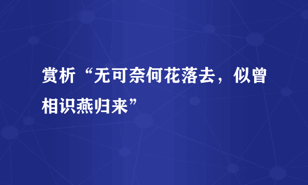 赏析“无可奈何花落去，似曾相识燕归来”