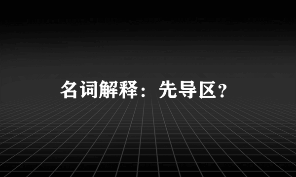 名词解释：先导区？