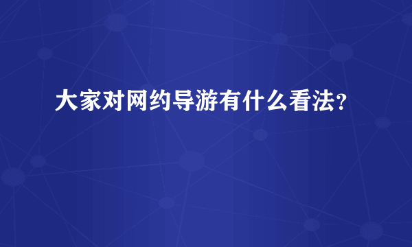 大家对网约导游有什么看法？