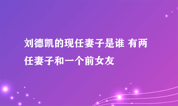 刘德凯的现任妻子是谁 有两任妻子和一个前女友