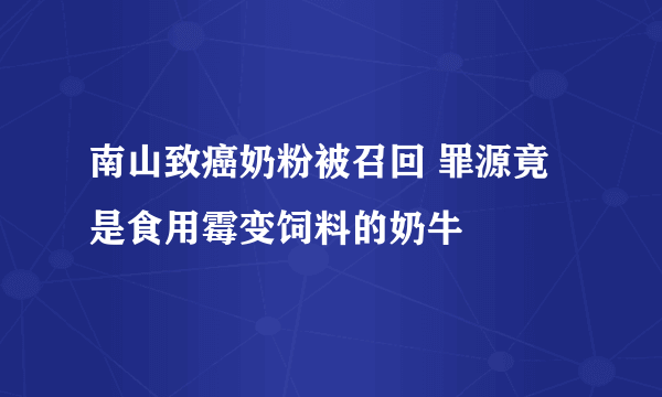 南山致癌奶粉被召回 罪源竟是食用霉变饲料的奶牛