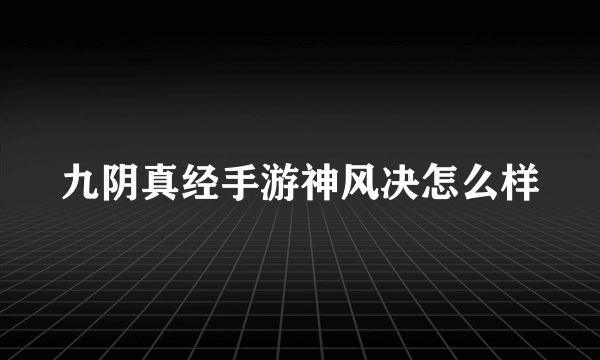 九阴真经手游神风决怎么样