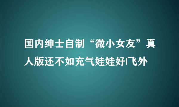 国内绅士自制“微小女友”真人版还不如充气娃娃好|飞外