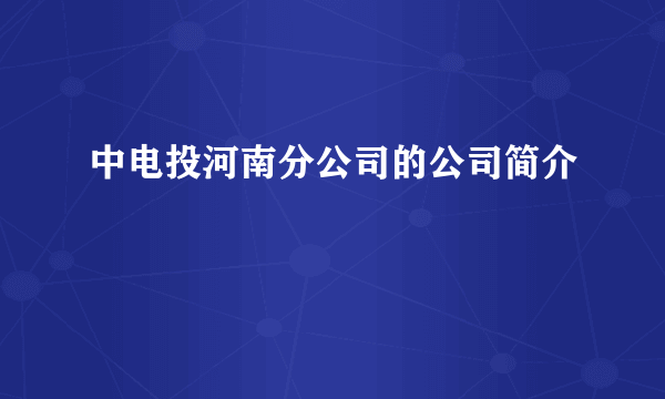 中电投河南分公司的公司简介