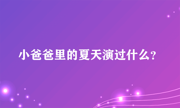 小爸爸里的夏天演过什么？