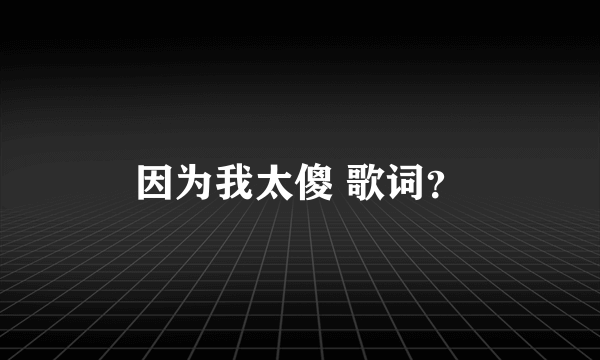 因为我太傻 歌词？