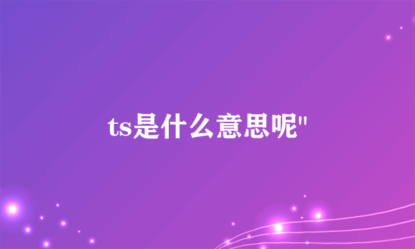 ts是什么意思呢