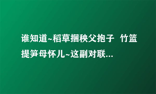 谁知道~稻草捆秧父抱子  竹篮提笋母怀儿~这副对联的意思呢?