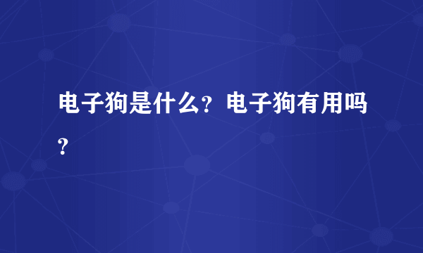 电子狗是什么？电子狗有用吗？