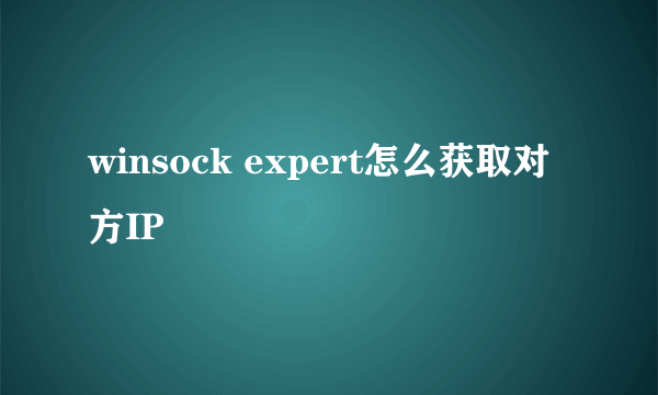 winsock expert怎么获取对方IP