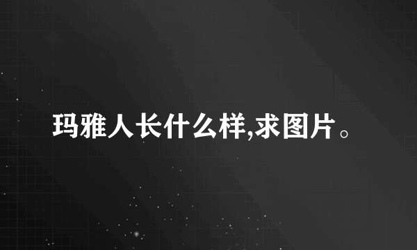 玛雅人长什么样,求图片。