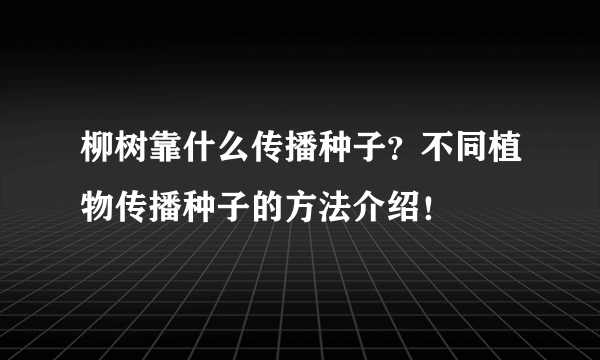 柳树靠什么传播种子？不同植物传播种子的方法介绍！