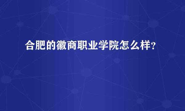 合肥的徽商职业学院怎么样？