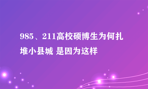 985、211高校硕博生为何扎堆小县城 是因为这样