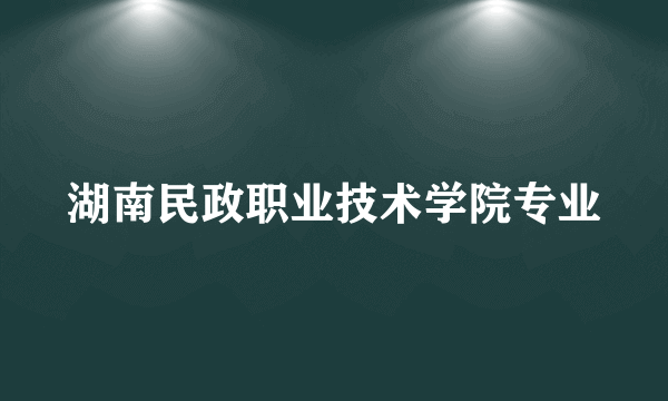 湖南民政职业技术学院专业