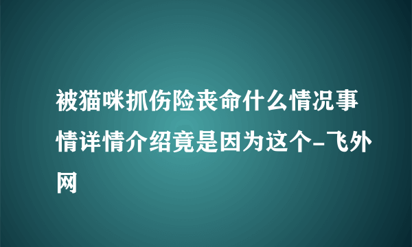 被猫咪抓伤险丧命什么情况事情详情介绍竟是因为这个-飞外网