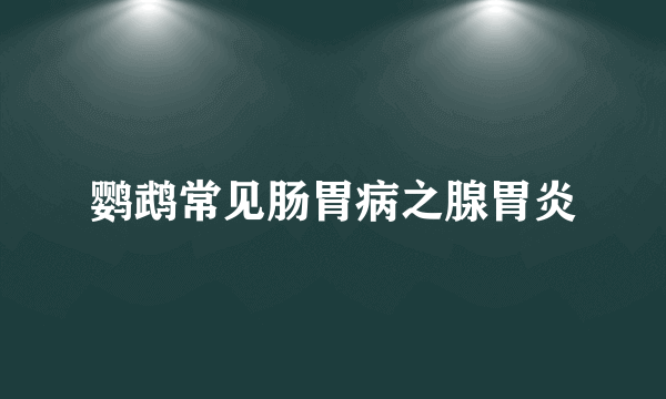 鹦鹉常见肠胃病之腺胃炎