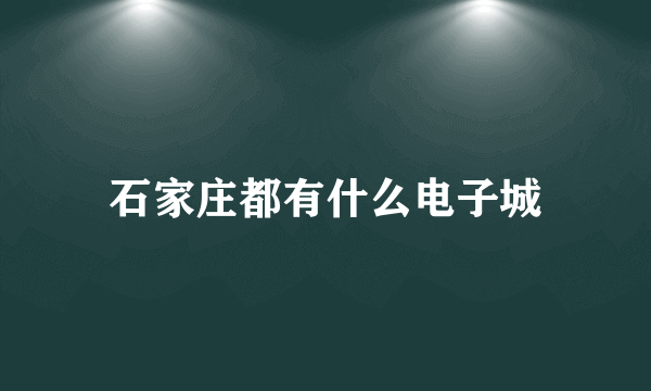 石家庄都有什么电子城