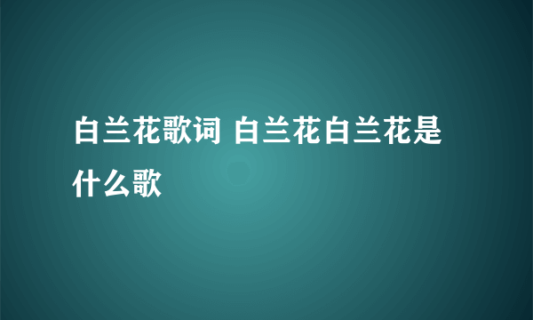 白兰花歌词 白兰花白兰花是什么歌