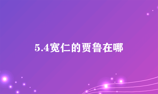 5.4宽仁的贾鲁在哪