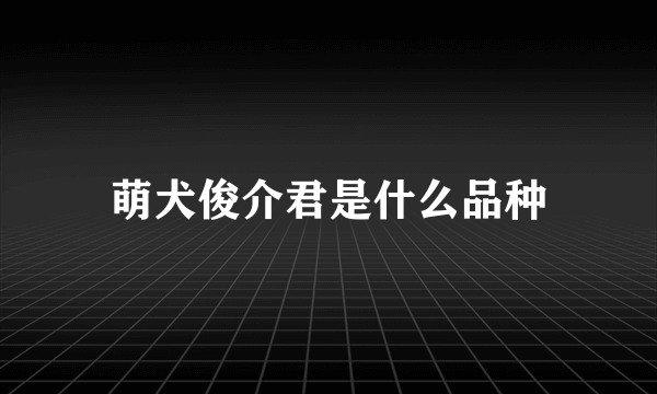 萌犬俊介君是什么品种