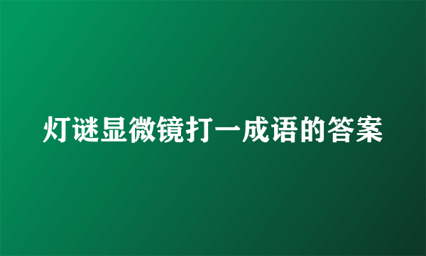 灯谜显微镜打一成语的答案