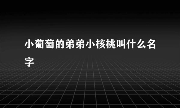 小葡萄的弟弟小核桃叫什么名字