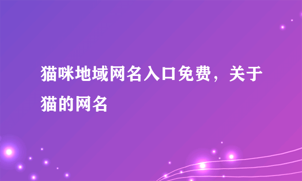 猫咪地域网名入口免费，关于猫的网名