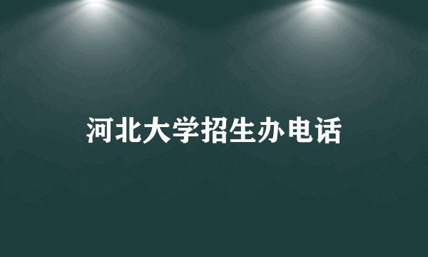 河北大学招生办电话