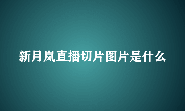 新月岚直播切片图片是什么