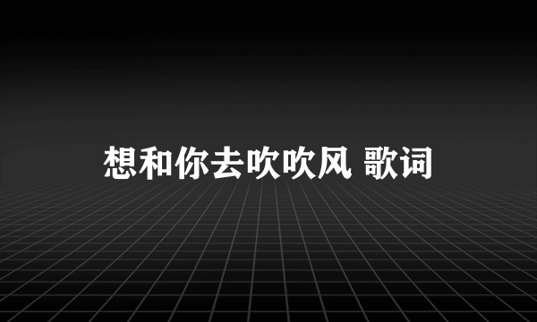 想和你去吹吹风 歌词