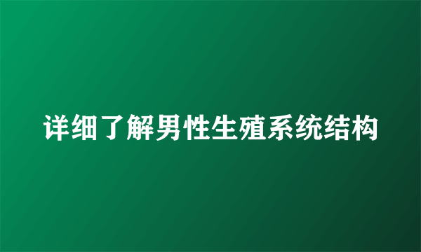 详细了解男性生殖系统结构