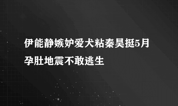 伊能静嫉妒爱犬粘秦昊挺5月孕肚地震不敢逃生